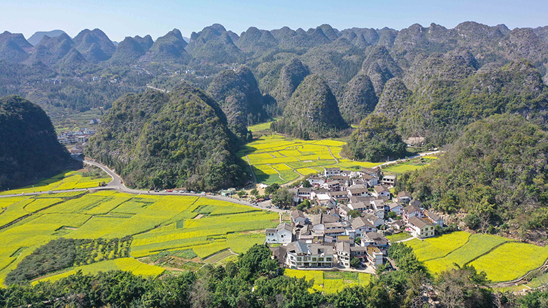 2024年2月17日，貴州省興義市萬峰林景區(qū)的油菜花海景色（無人機照片）。